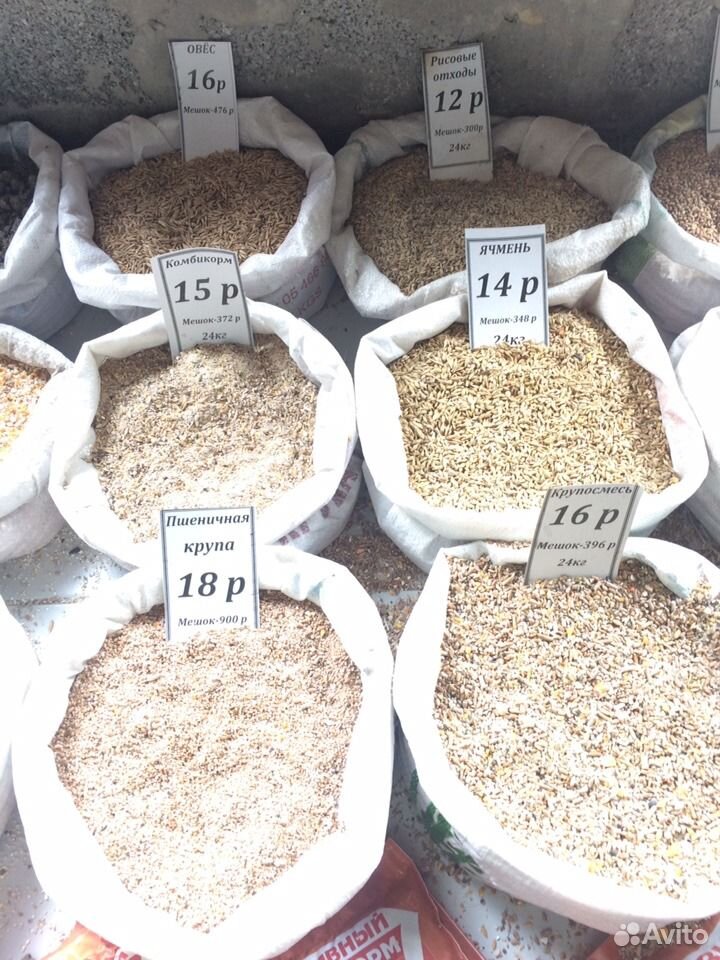 Где Можно Купить Пшеницу В Сасовском Районе