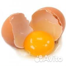Продам куриные яйца купить на Зозу.ру - фотография № 3