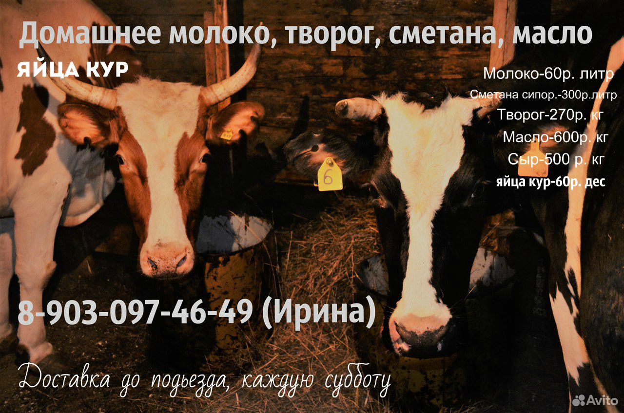 Домашнее молоко, творог, масло, сметана купить на Зозу.ру - фотография № 1