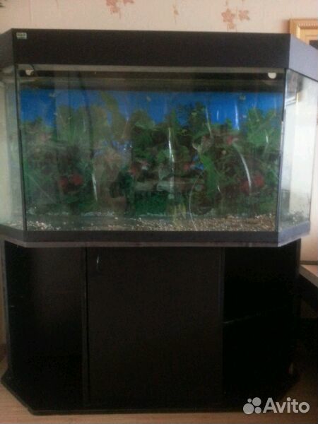 Продам польский аквариум 400 литров купить на Зозу.ру - фотография № 4