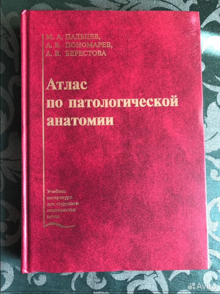 Учебник по патанатомии. Атлас по патологической анатомии. Пальцев м.а. Атлас по патологической анатомии цена пальцев купить. Пальцев курс лекций по патологической анатомии купить.