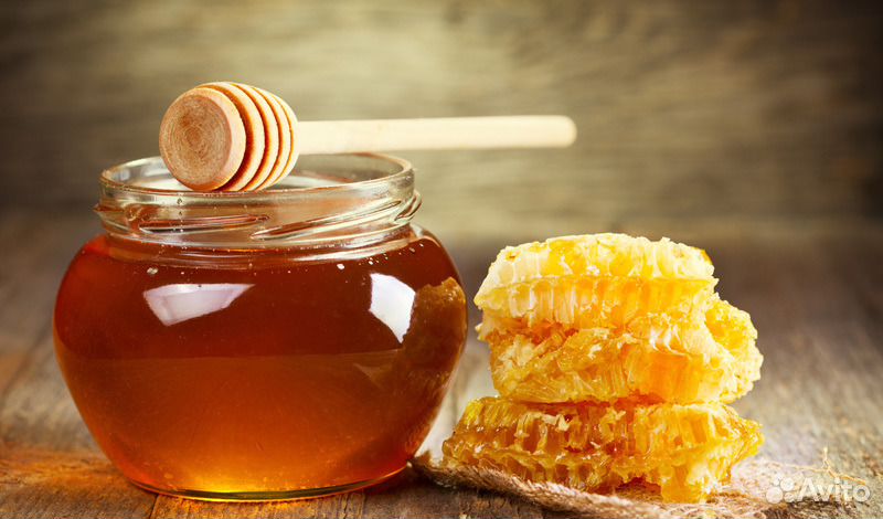 Продаю мёд купить на Зозу.ру - фотография № 3