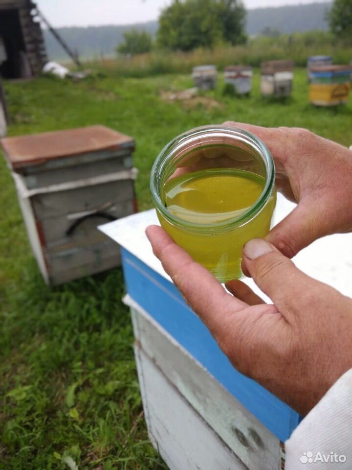 Мёд разнотравье (качка 2020) купить на Зозу.ру - фотография № 2