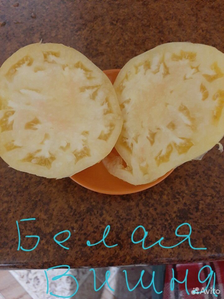 Семена редких томатов-сорта купить на Зозу.ру - фотография № 1