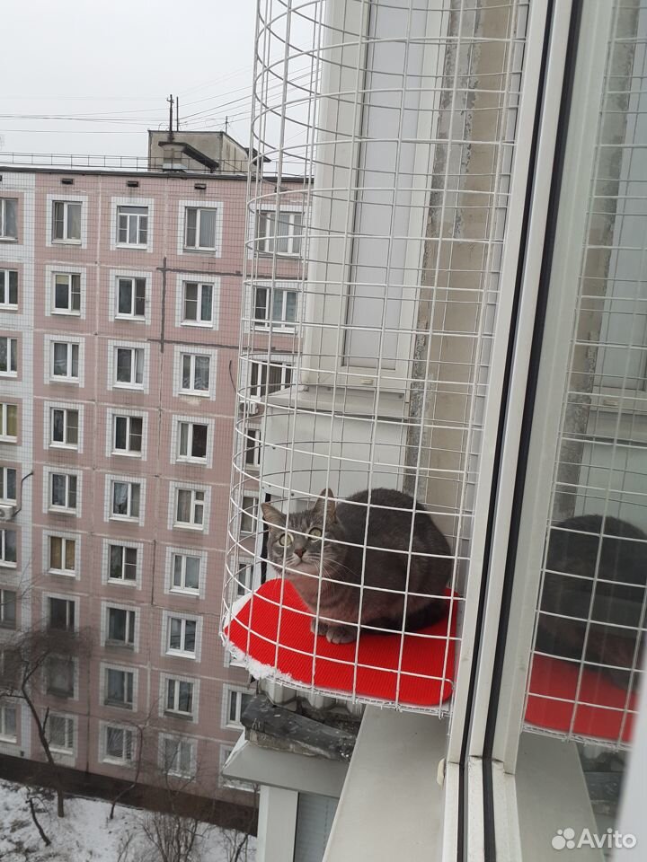 Балкон для кошек купить. Балкон-антикошка katfreedom.. Балкончик для кошки. Кошачий балкон. Балкон для кошек на окно.