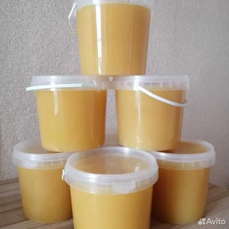 Мёд купить на Зозу.ру - фотография № 2