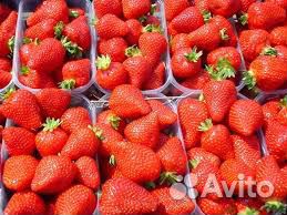 Продам ягоду клубники, малины, ежевики сезон 2020 купить на Зозу.ру - фотография № 1