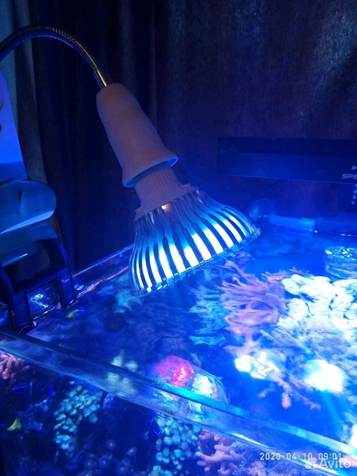 Светодиодная лампа для нано рифа 27 ват с держател купить на Зозу.ру - фотография № 3