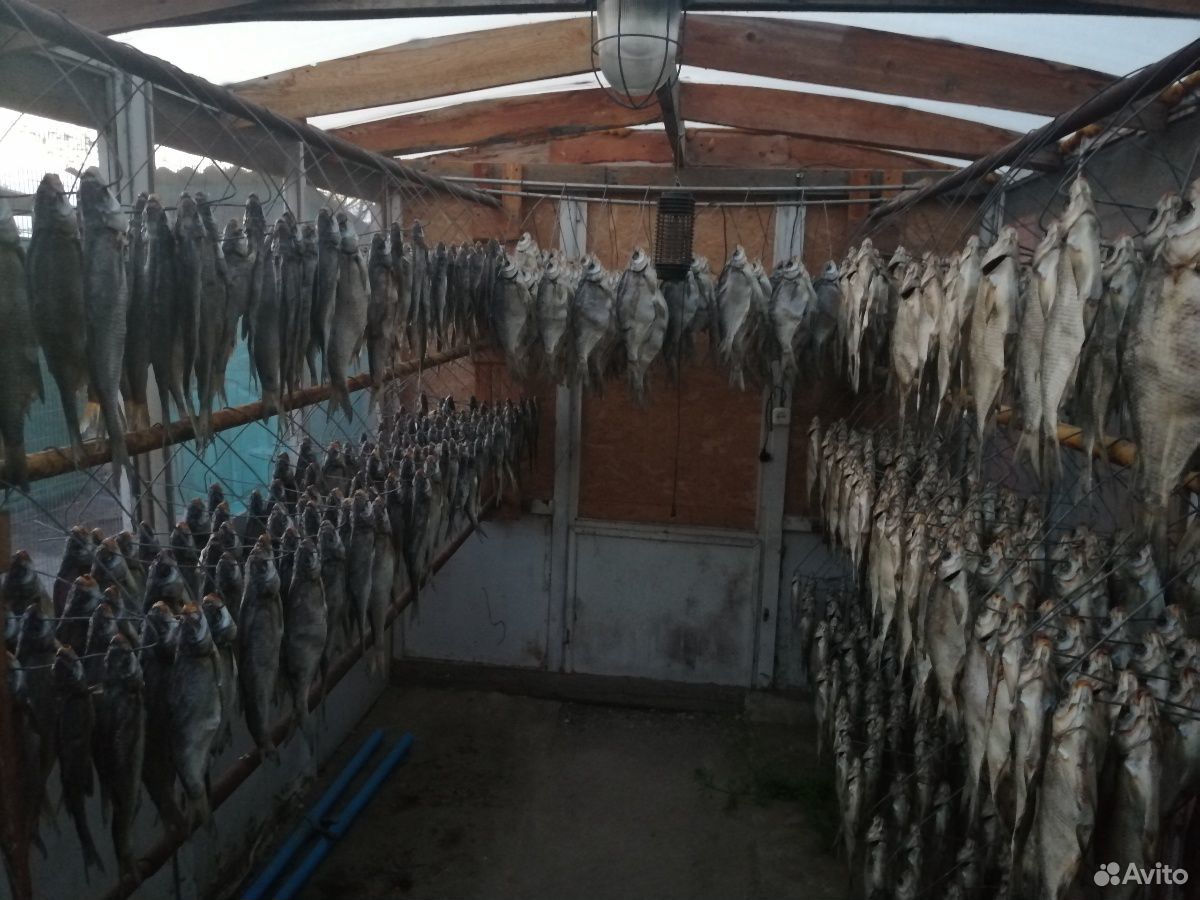 Рыба вяленая купить на Зозу.ру - фотография № 3