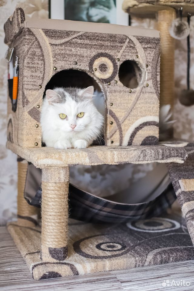 Новый домик для котика купить на Зозу.ру - фотография № 1