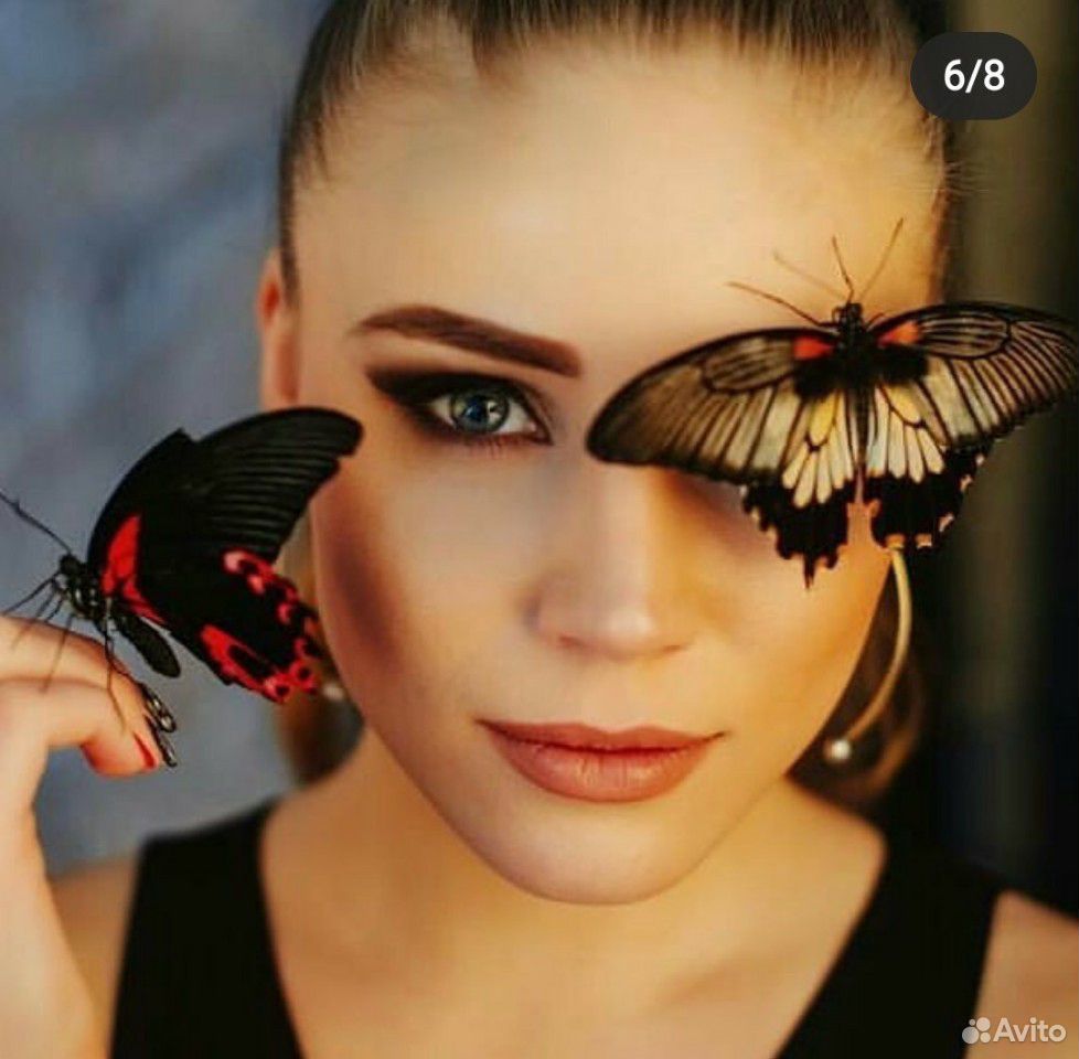 Шикарные тропические бабочки купить на Зозу.ру - фотография № 2