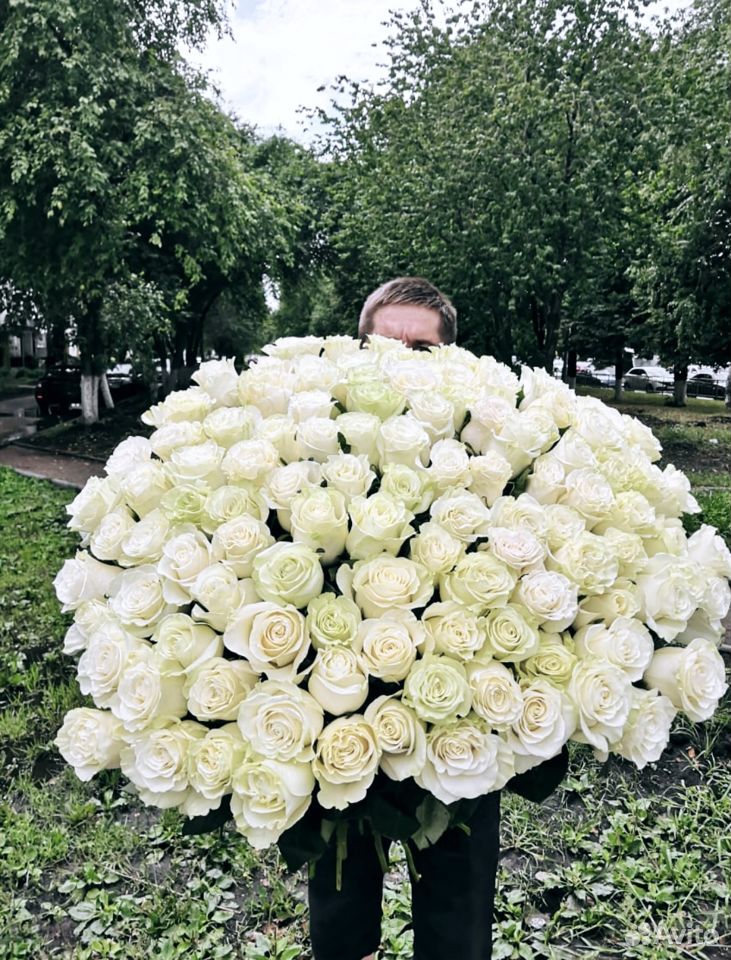 101 роза Розы Цветы и Доставка купить на Зозу.ру - фотография № 1