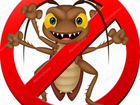 Уничтожение клопов тараканов и др. насекомых объявление продам