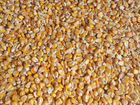 Кукуруза, ячмень, пшеница объявление продам
