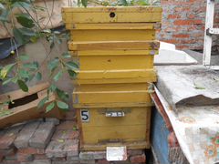 Улья, пчеловодный инвентарь