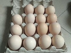 Инкубационное яйцо Бресс Гальской породы кур