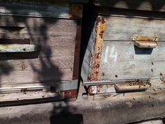 Улей пчелосемьи на высадку, пакеты