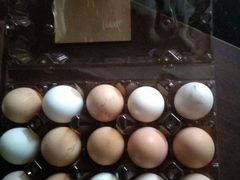 Заказ и доставка деревенских яиц