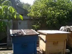 Ульи для пчёл 4 шт