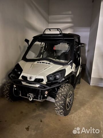 Багги BRP 1000 LTD