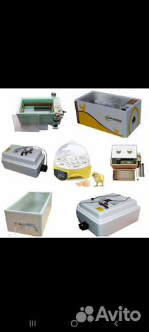 Инкубаторы