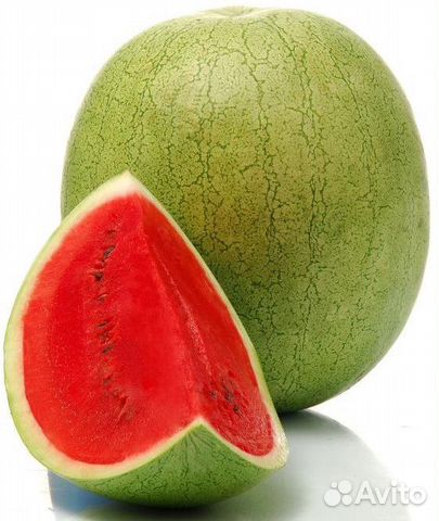 Семена Арбуза 