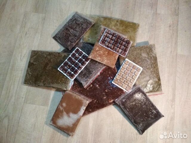 Артемия, мотыль, циклоп и др