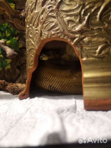 Укрытие для рептилии из керамического горшка