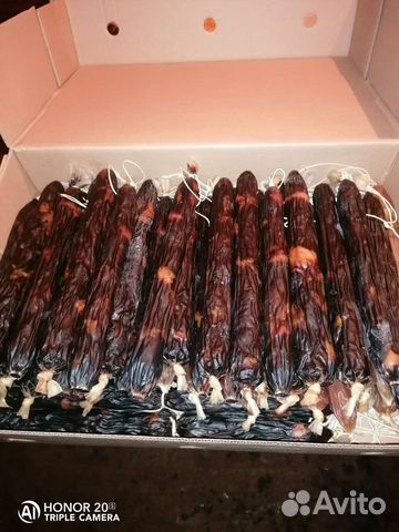 Оптом Казы Махан Курахан, Без Жил