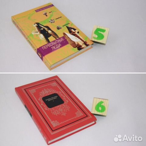 Первобытные люди.Быт,религия,культура