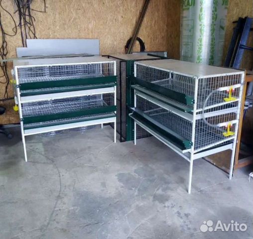 Клетка для перепелов