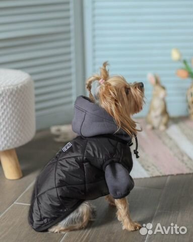 Одежда для собак мелких пород