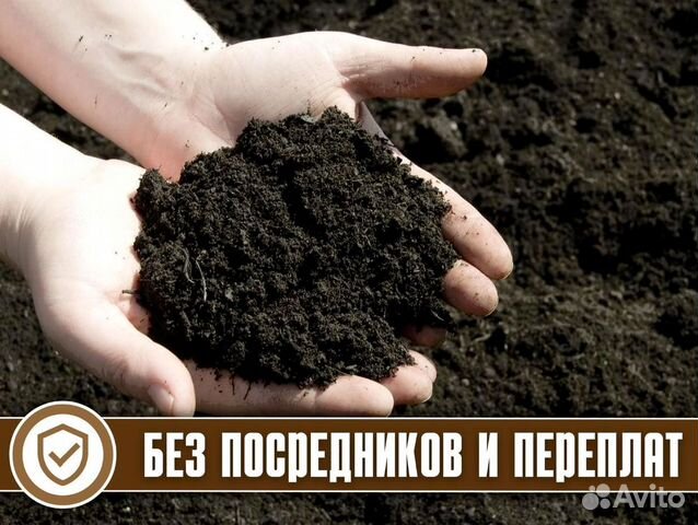 Чернозем Купить В Донецке Днр Цена