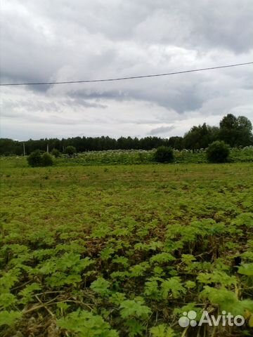 Участок 20 сот. (ИЖС) Участок 20 сот. (ИЖС)