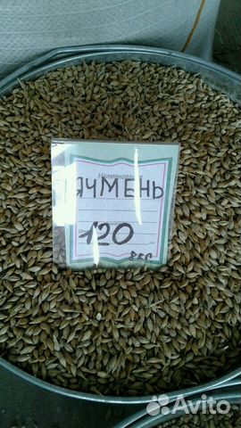 Комбикорм, зерно купить на Зозу.ру - фотография № 2