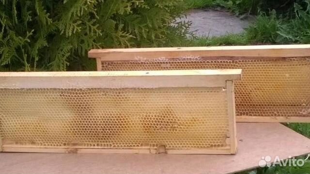 Для пчеловодов купить на Зозу.ру - фотография № 1
