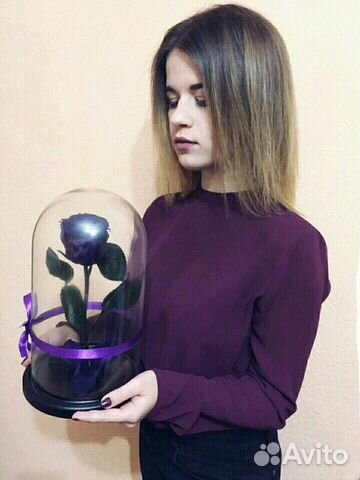 Роза в Колбе Роза в Колбе