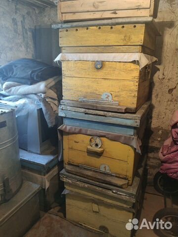 Оборудование для пчеловодства купить на Зозу.ру - фотография № 3