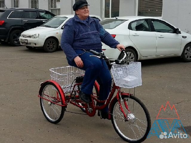 Электровелосипед трехколесный 250W Farmer IB E-3W