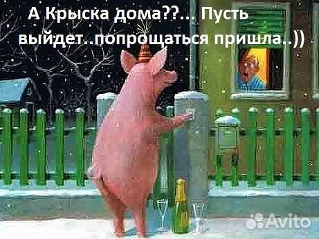 Свиньи мясо купить на Зозу.ру - фотография № 1