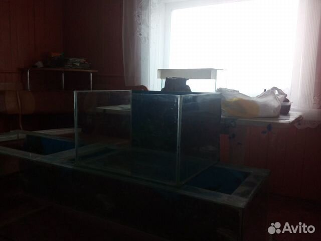 Продам аквариумы купить на Зозу.ру - фотография № 3