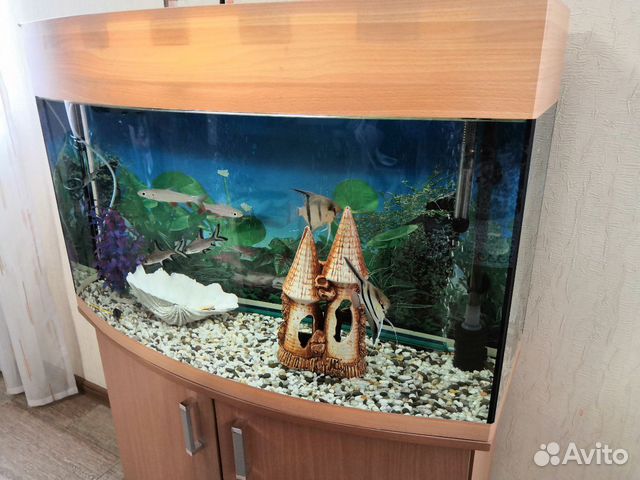 Аквариум с рыбками купить на Зозу.ру - фотография № 7