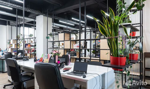 Офисное помещение, 607.5 м²