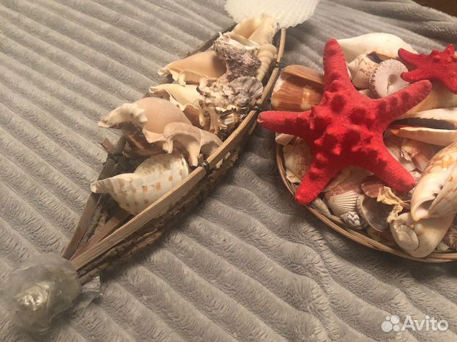 Набор ракушек