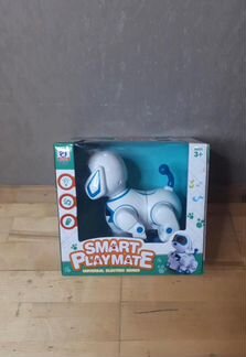 Робот Smart Playmate