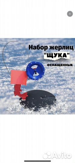 Жерлица зимняя, 