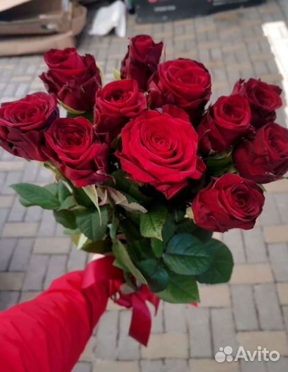 101 роза с доставкой, букет роз с доставкой