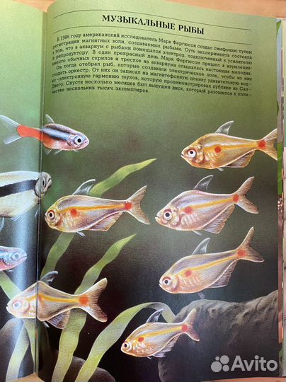 Научно познавательная книга для детей