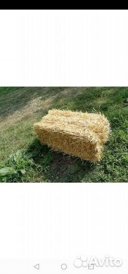 Солома.ячменная, пшеничная