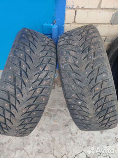Blacklion W506 Ice Pioneer 205/55 R16 91H